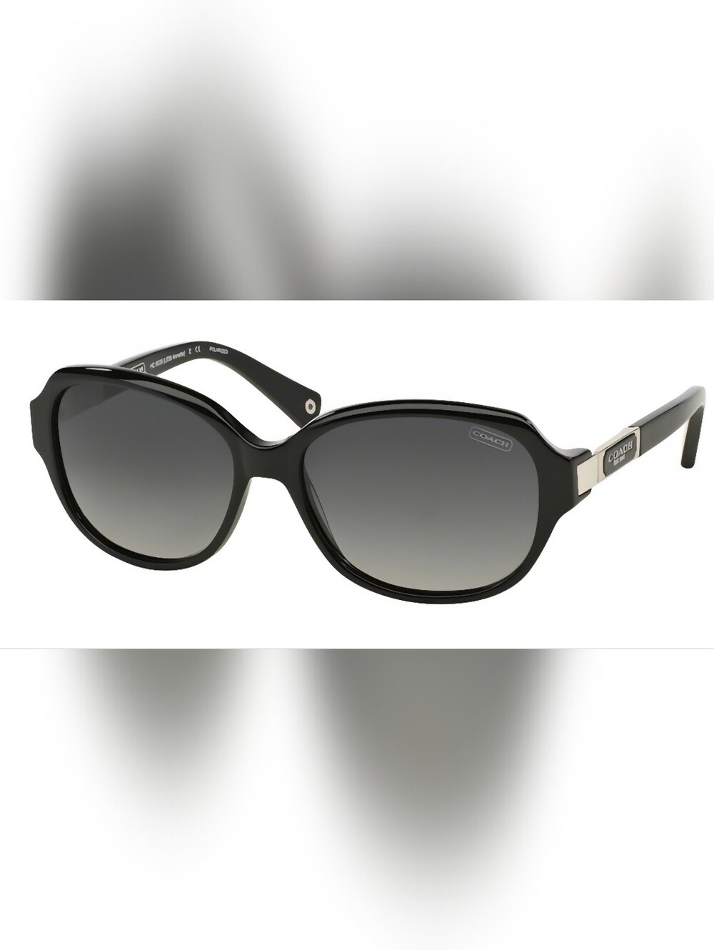 Coach HC8039 L039 Annette Sunglasses With Signature CASE